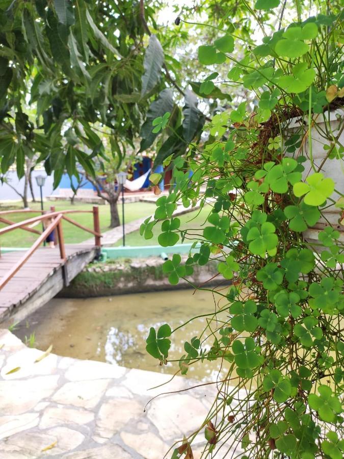Cores Do Cerrado - Chales E Suites Goiás Εξωτερικό φωτογραφία